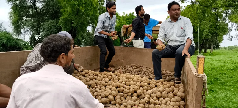 सोहागपुर में नवांकुर अभियान: 4000 सीड बॉल से गूंजा "हरित नगर" का संकल्प नगर परिषद ने अटल अमृत उद्यान से नहर…